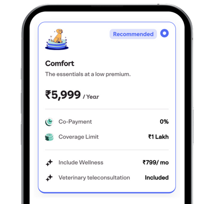 Veterinarian video call